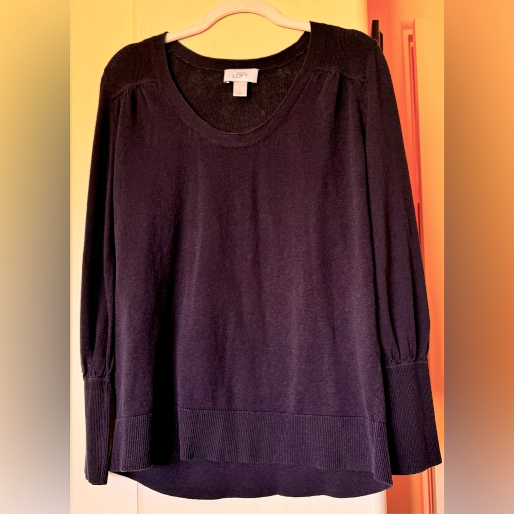Ann Taylor LOFT Long Sleeve Sweater